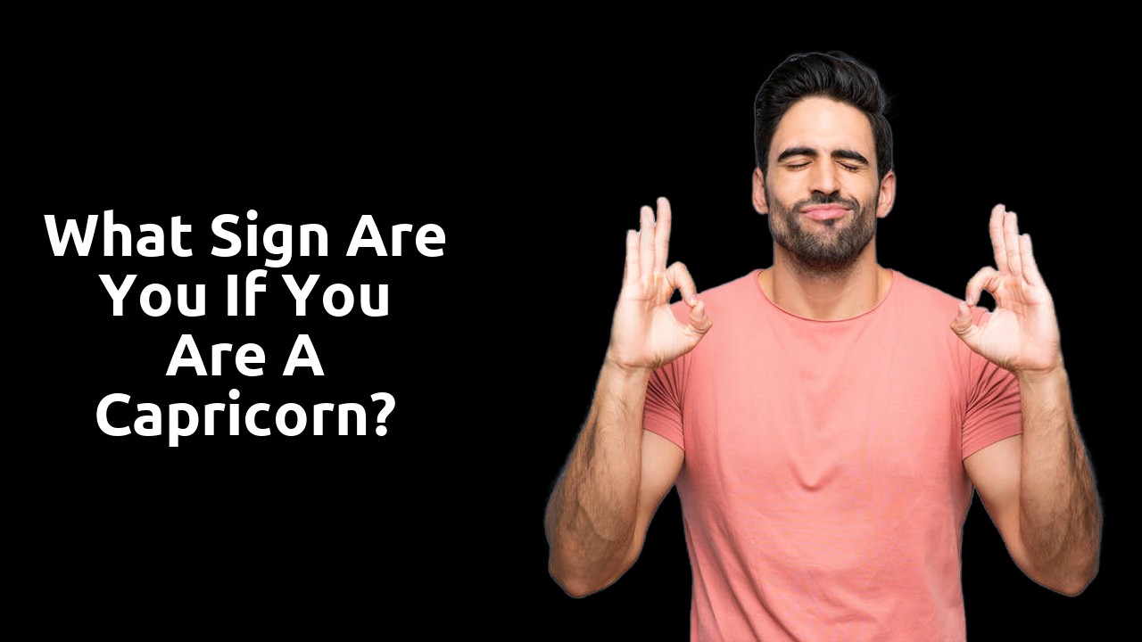 What sign are you if you are a Capricorn?